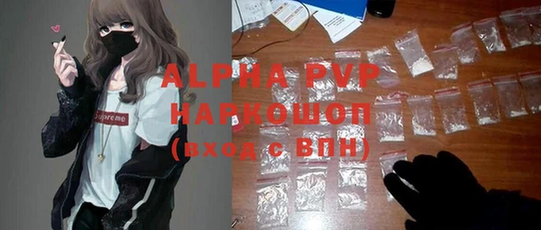 спиды Богородск