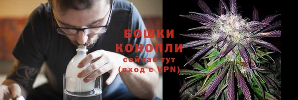 спиды Богородск