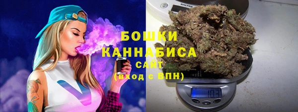 прущий лед Богородицк